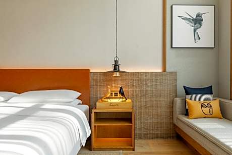 1 King Premium Accessible