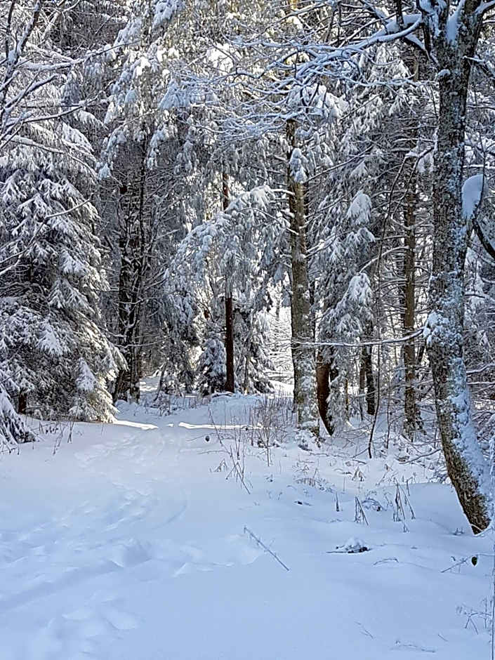 Hotel Restaurant Kniebishöhe