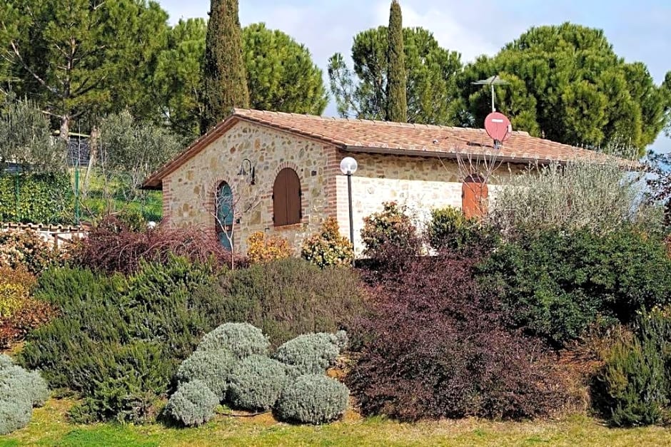 Il vecchio seccatoio