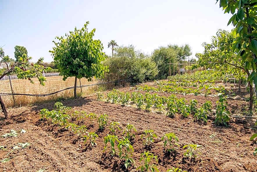 Malemi Organic Hotel