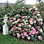 Home Farm Healesville