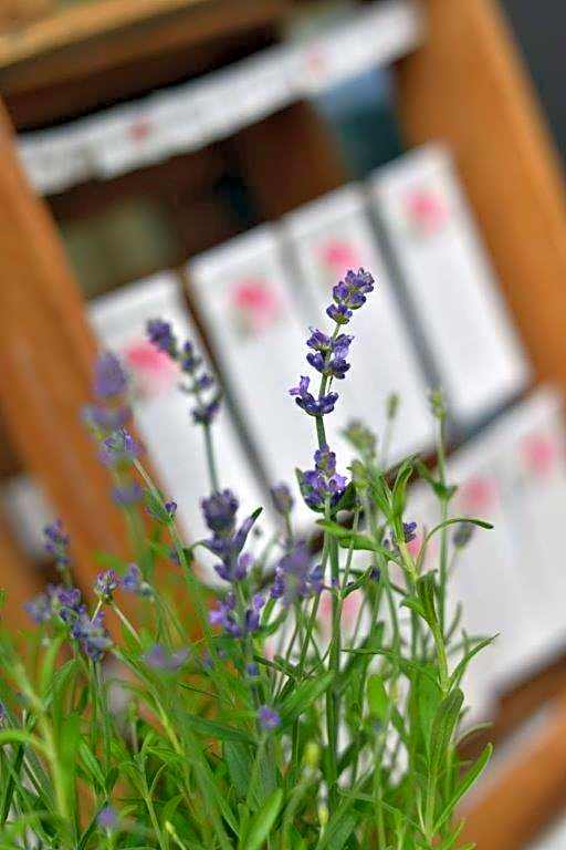 Landhaus Müllenborn