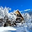 Chalet Solneige