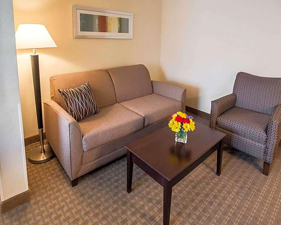 Comfort Suites University Area