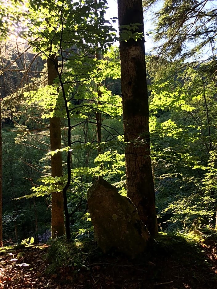 Gästehaus Adler Albtal