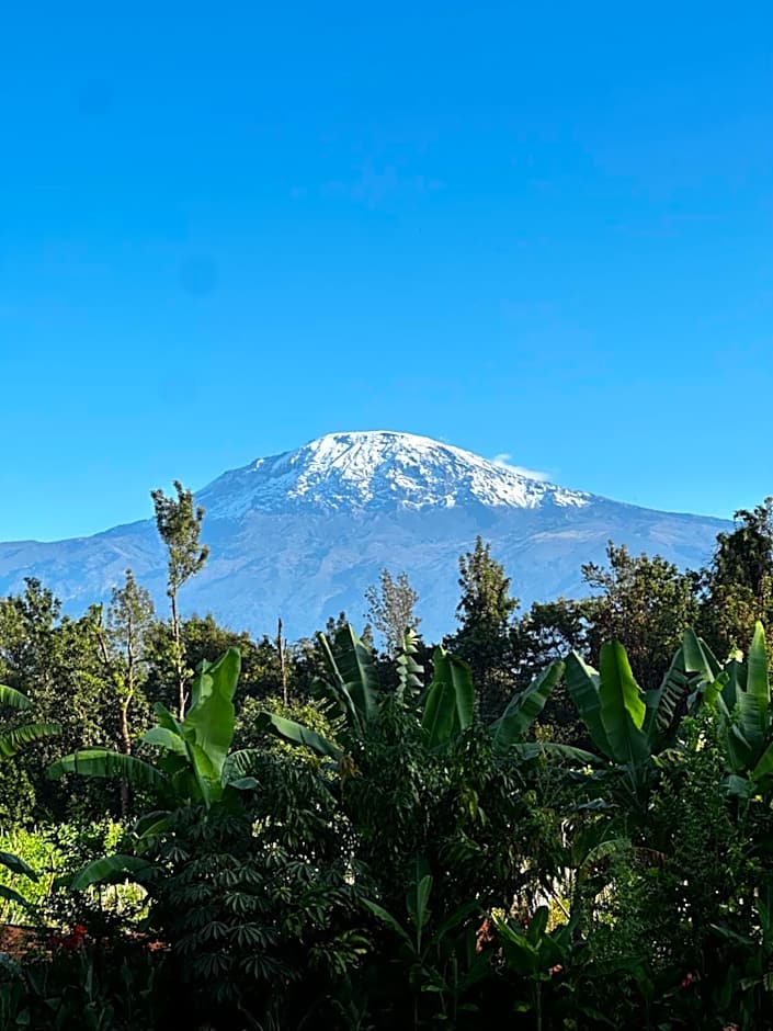Shose Farmhouse Chalets & Campsite