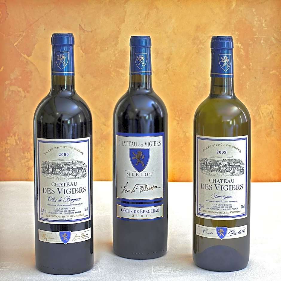 Château des Vigiers