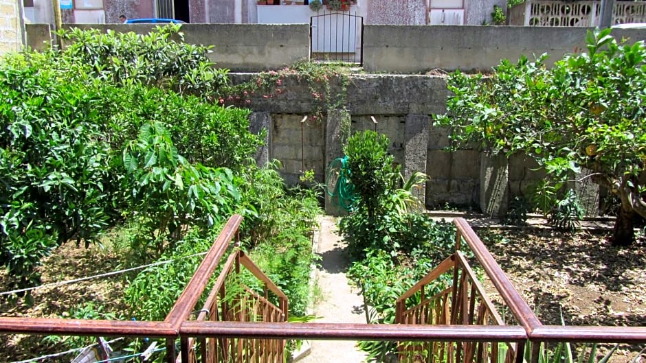 Bed & Breakfast Alice