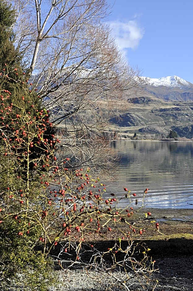 Lansdown Villa Apartments