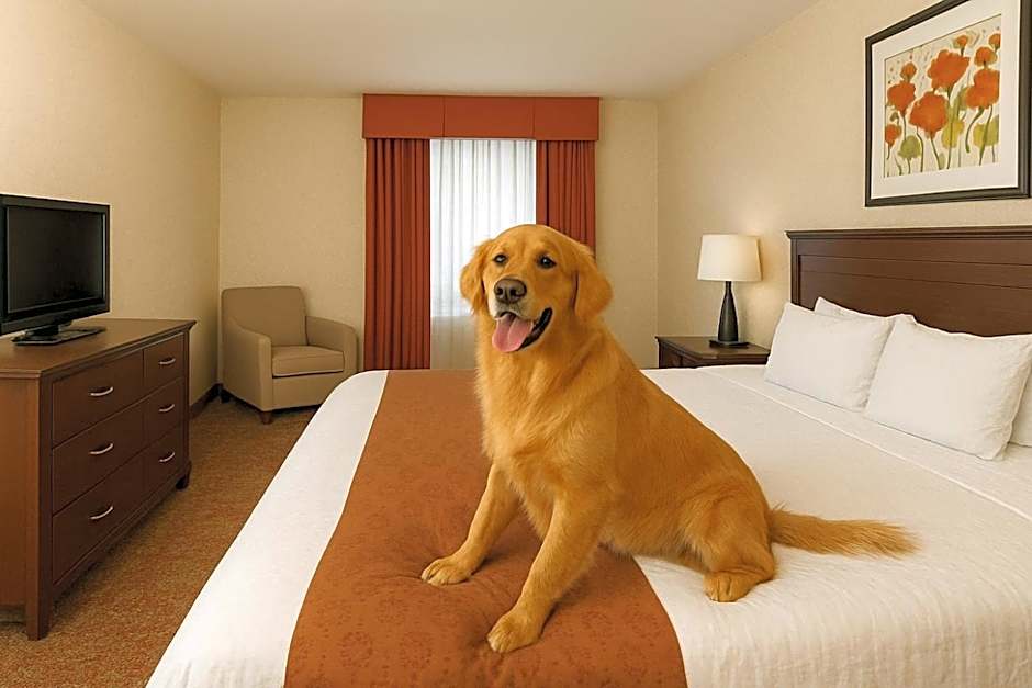 Crystal Inn Hotel & Suites - West Valley City