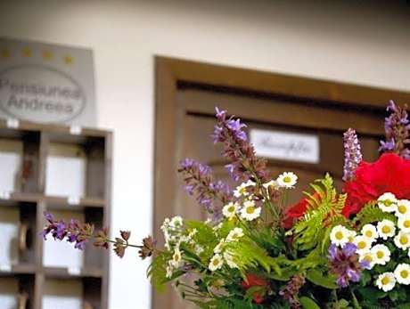 Pensiunea Andreea