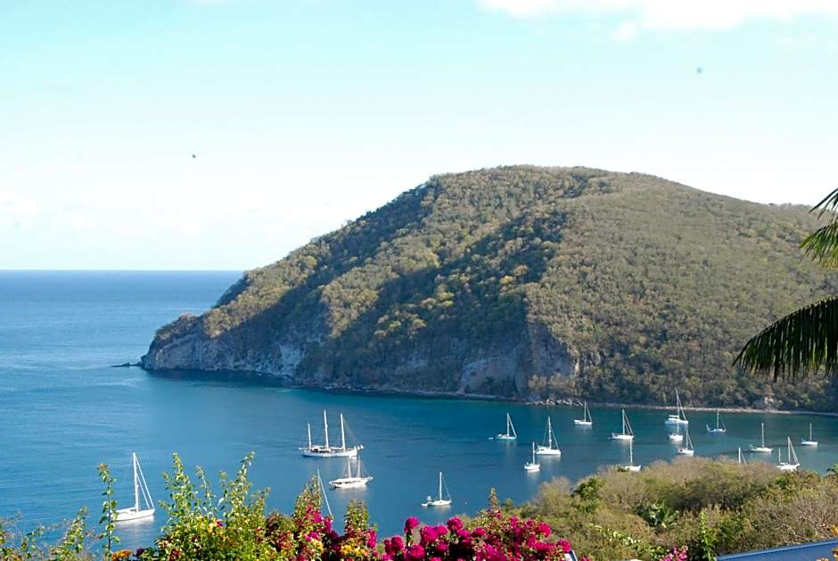 Au Jardin Des Colibris Ecolodge&Spa