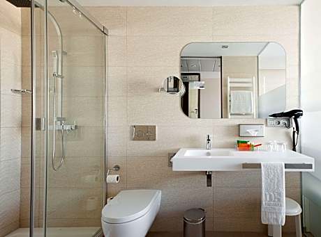 Superior Double or Twin Room New Style