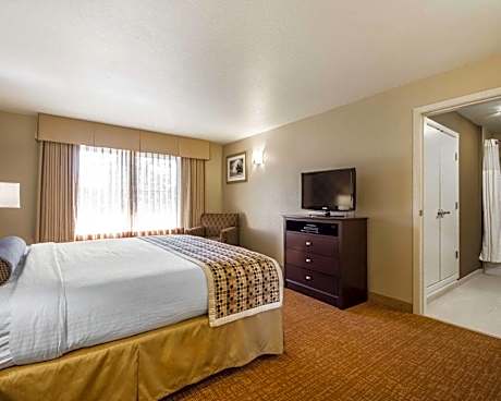 1 Bedroom Suite