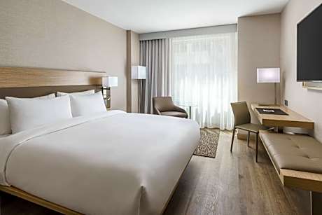 Guest room, 1 King, City view