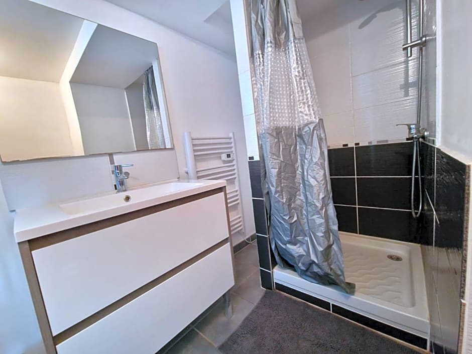 Le camélia de la mazarié