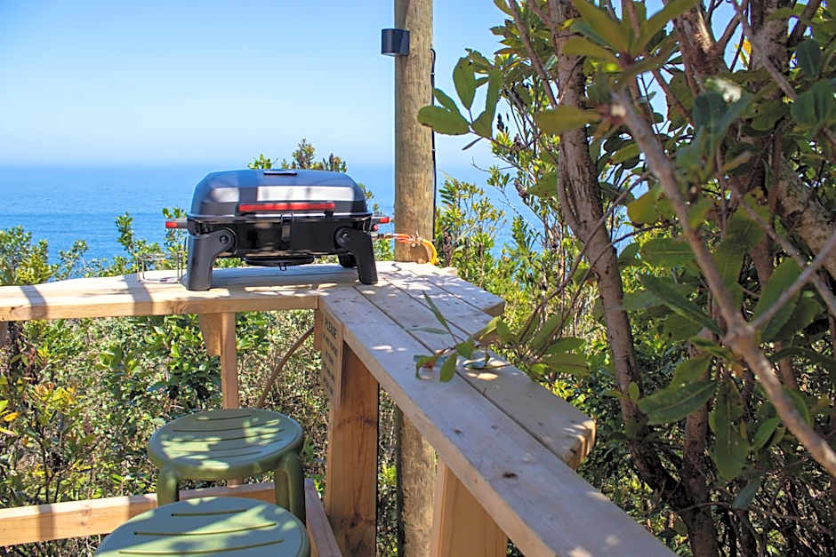 The Hive - Jungle at Misty Mountain Reserve