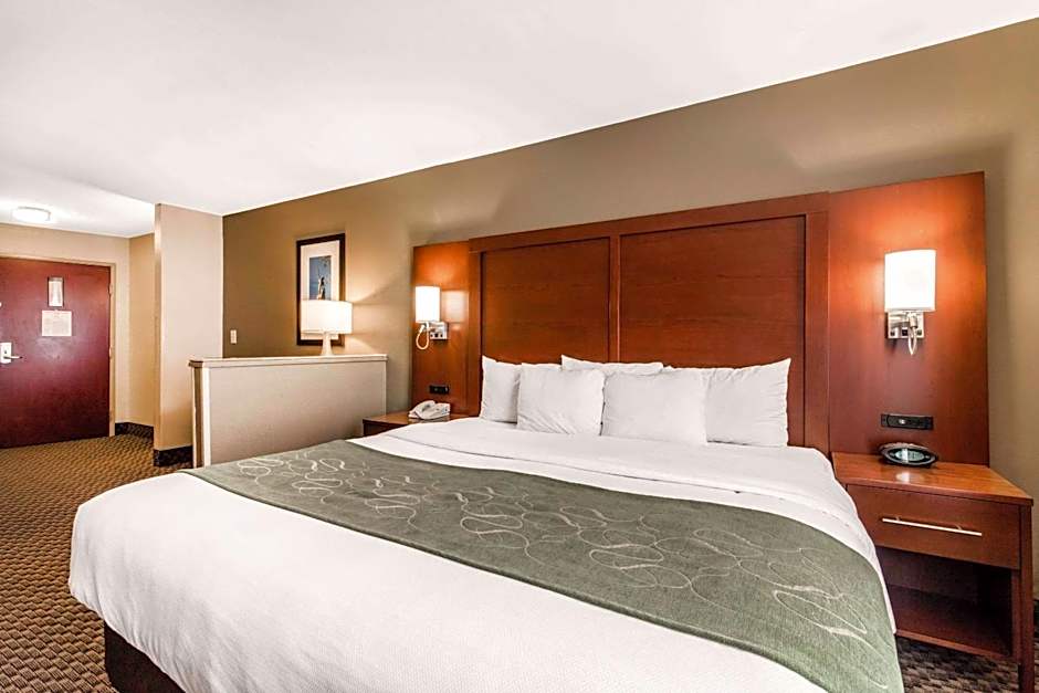 Comfort Suites Tuscaloosa near University