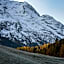 Cresta Palace Celerina St Moritz active-in and experience-out