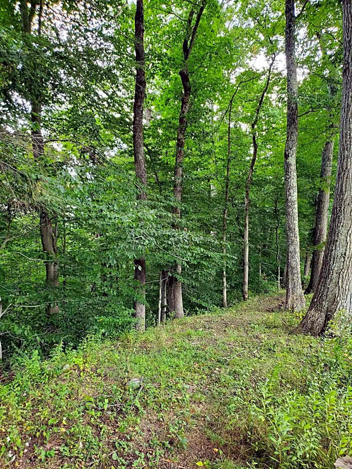 Glenwood Inn - Stroudsburg