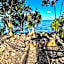 Bufo Alvarius Sanctuary Bacalar