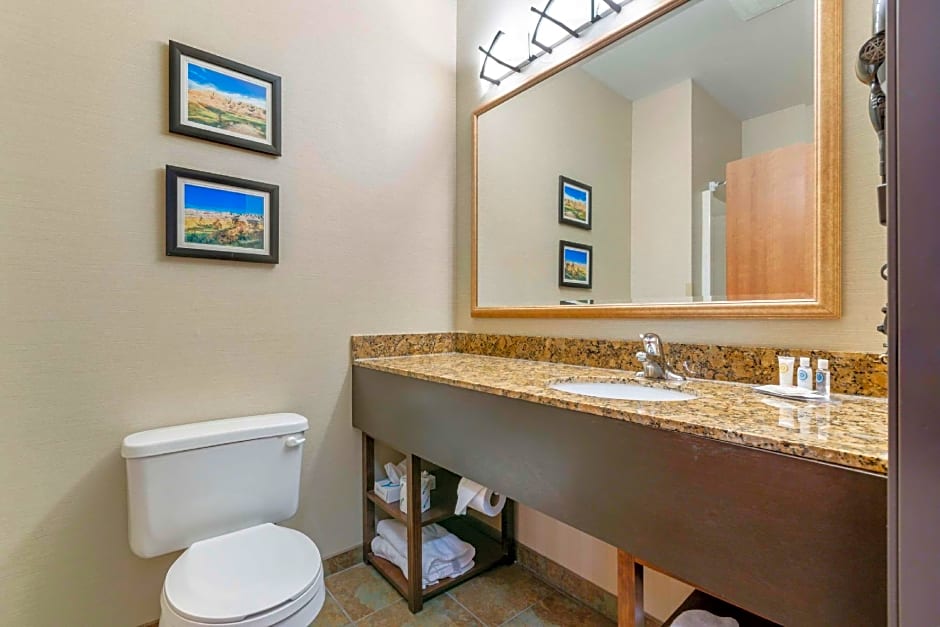 Comfort Inn & Suites Mitchell I-90
