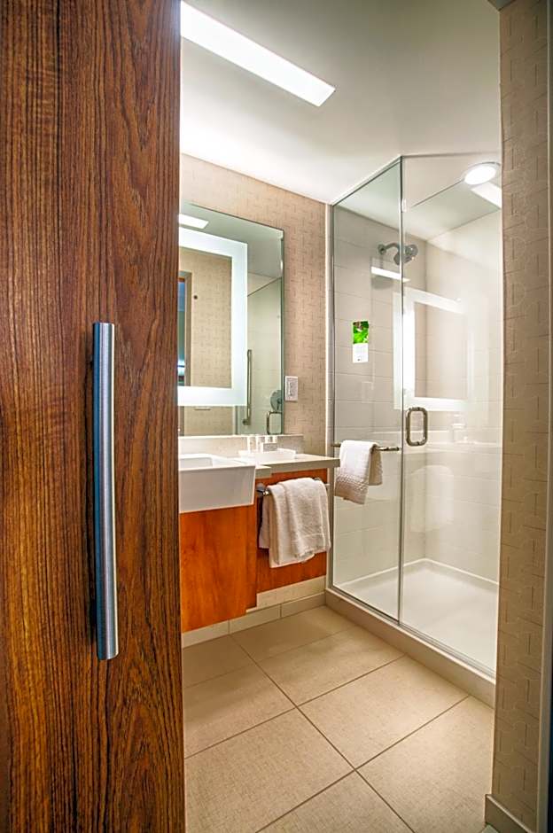 SpringHill Suites by Marriott Canton