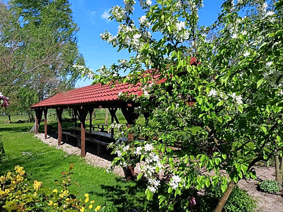 Domek 1 w Rancho Żnin