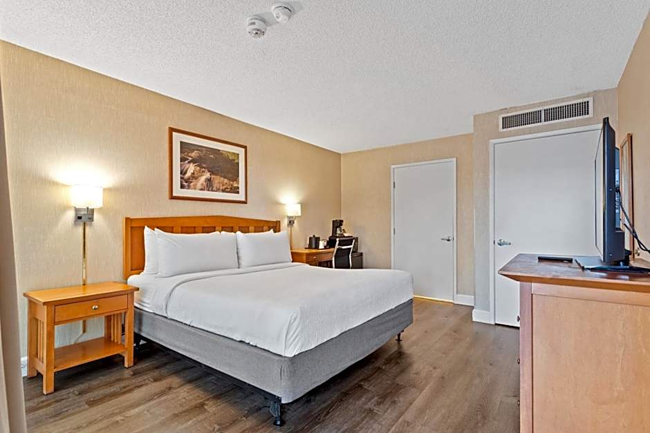 Vagabond Inn Executive - San Francisco Airport Bayfront (SFO)