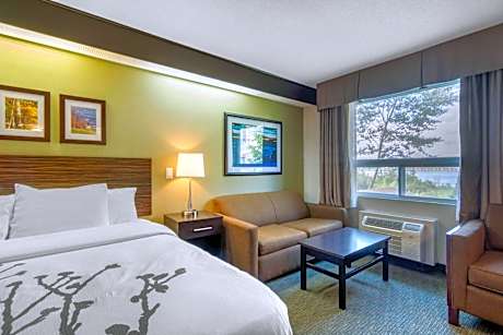 Superior King Room with Sofabed - Non Smoking