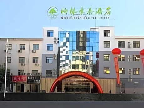 GreenTree Inn Wu'an City Plaza