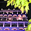 Secret Paradise Hotel & Spa