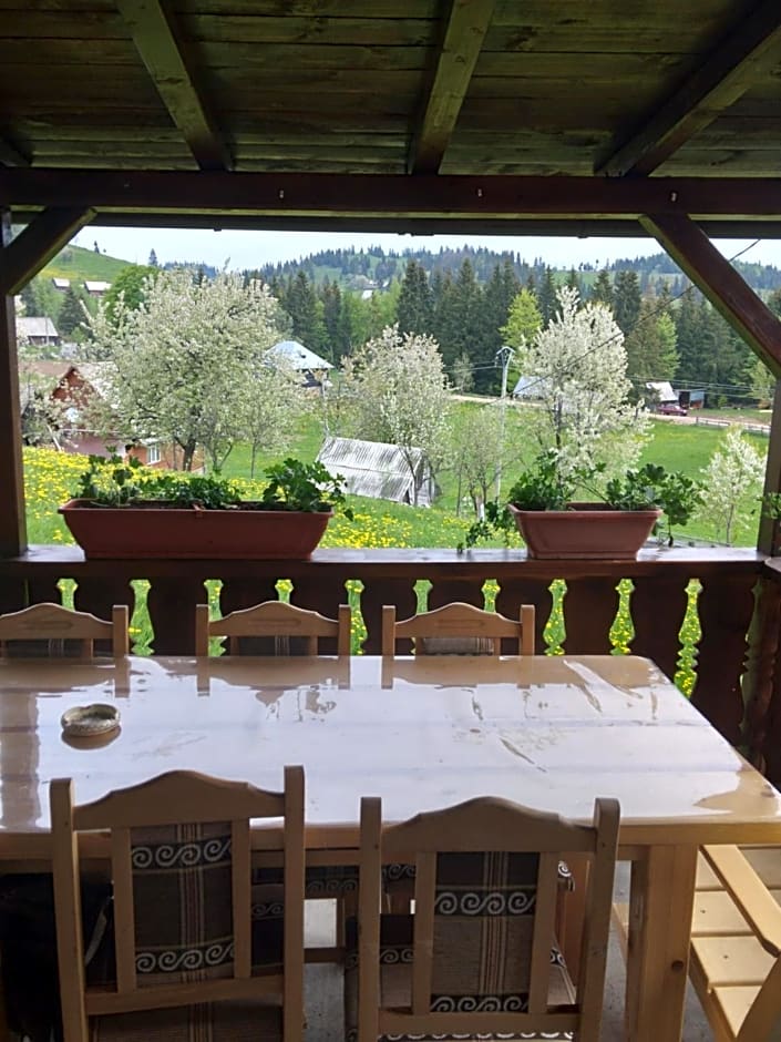 Casa din Deal-Apuseni