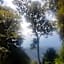 Dorrigo Bush Pepper Retreat