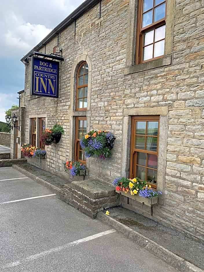 The Dog and Partridge