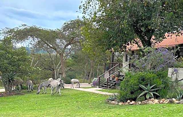 Khululeka Safaris Lodge