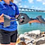 Dolphin Sands Clearwater Beach, an Ascend Collection Hotel