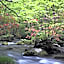 Oirase Guest house KEIGETSU