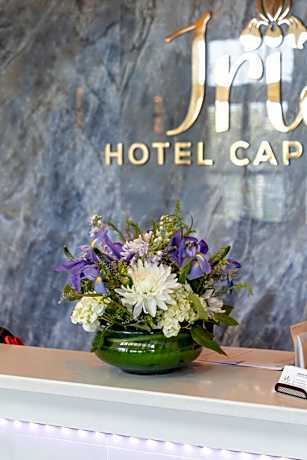 Hotel Cape Cod