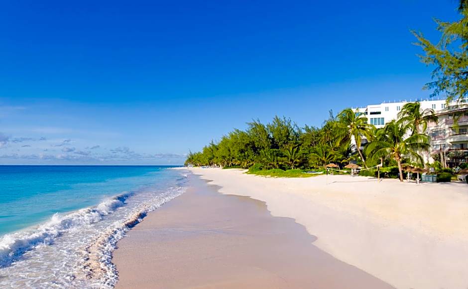 Bougainvillea Barbados