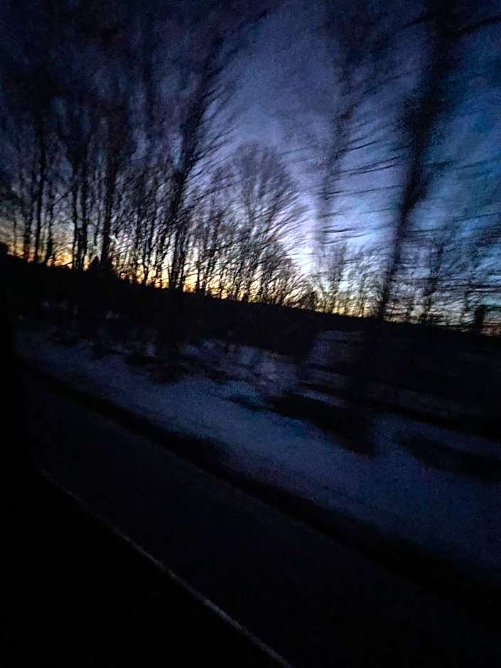 Buena Vista Inn Motel