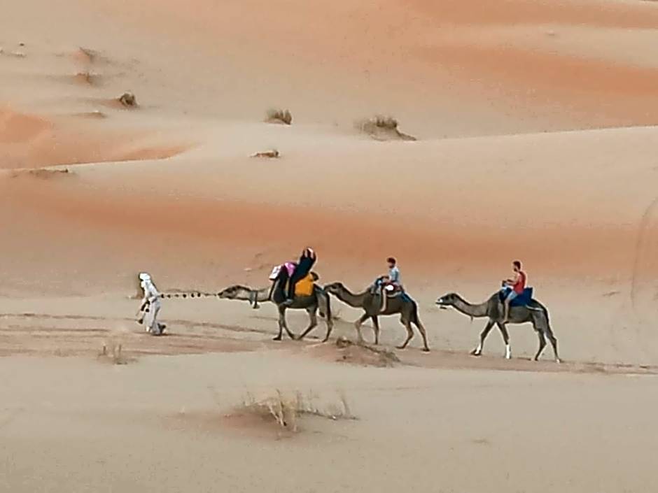 Sahara Lifestyle Camp