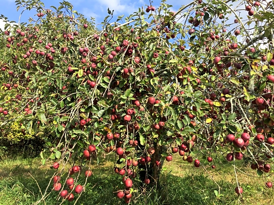 LA CAVERIE DE PEYROUX A ORTHEVIELLE (40300)