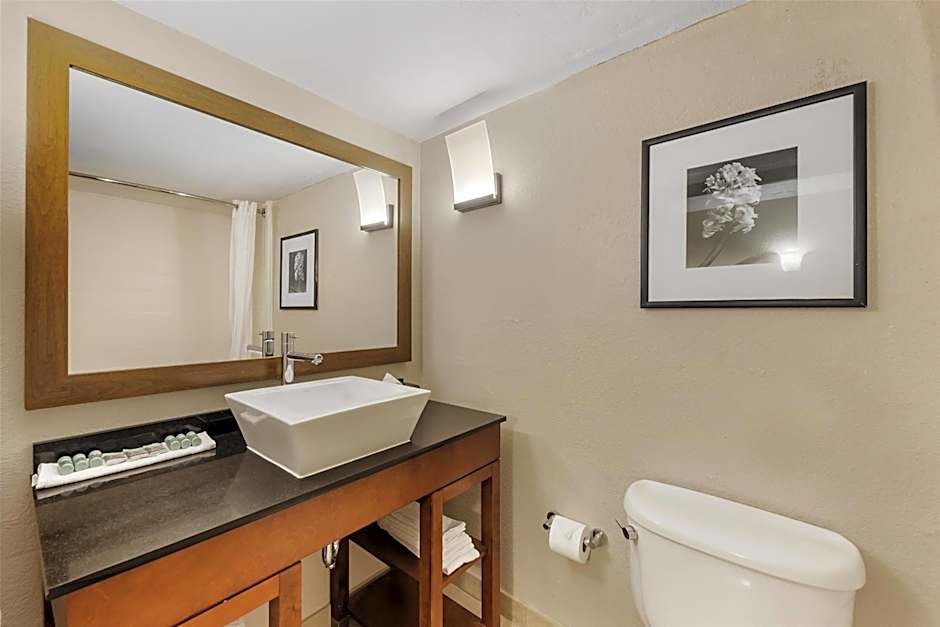 Best Western Alamo Suites Downtown