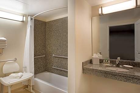 1 King 1 Bedroom Suite Mobil Access Tub