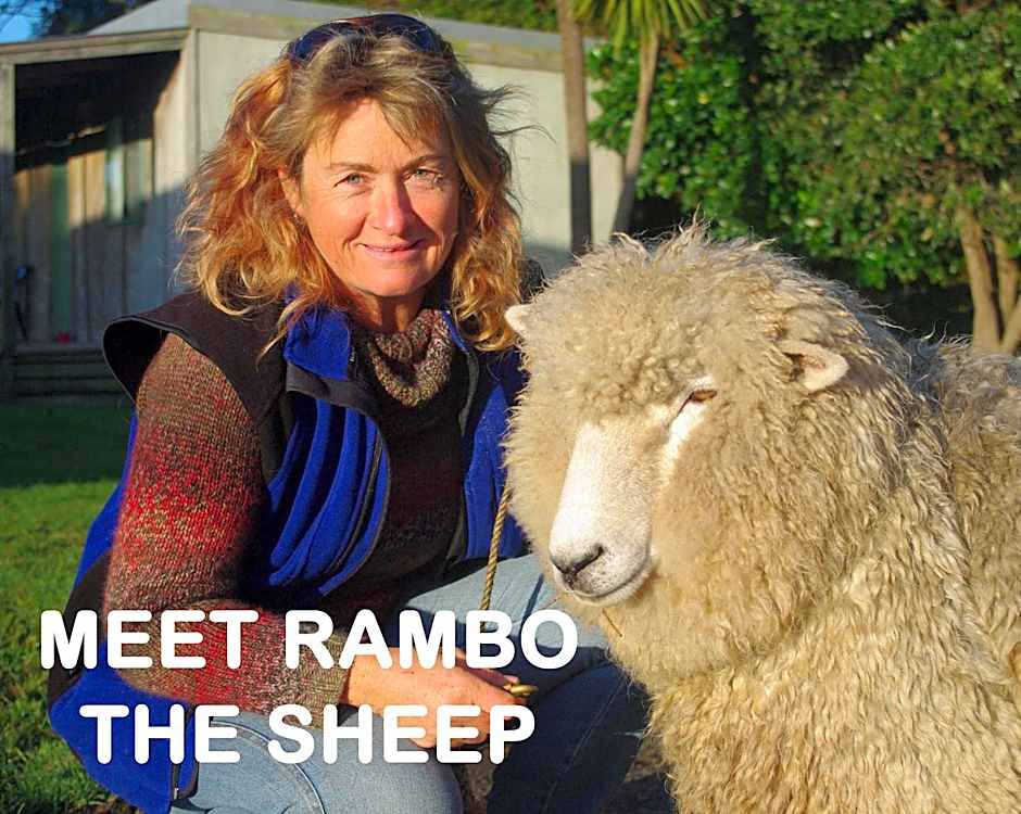 Pukenui Holiday Park