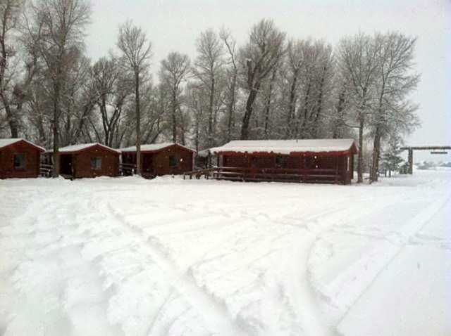 Teton Valley Cabins
