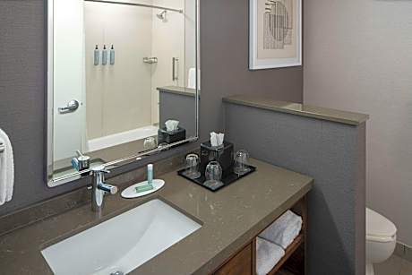 Larger Suite, 1 King, Sofa bed