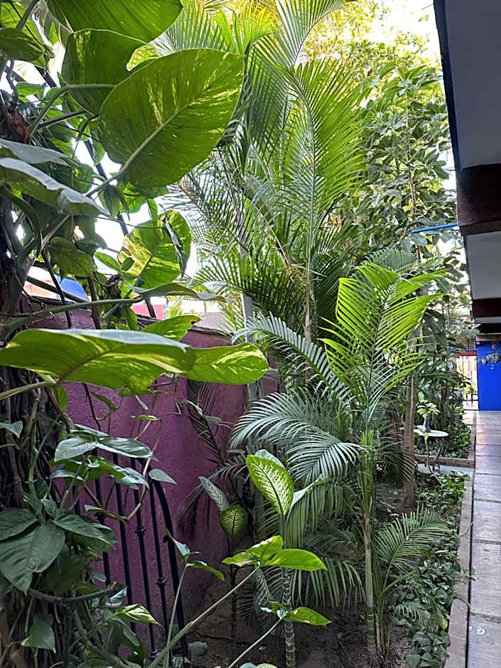 Siesta Suites Boutique Hotel