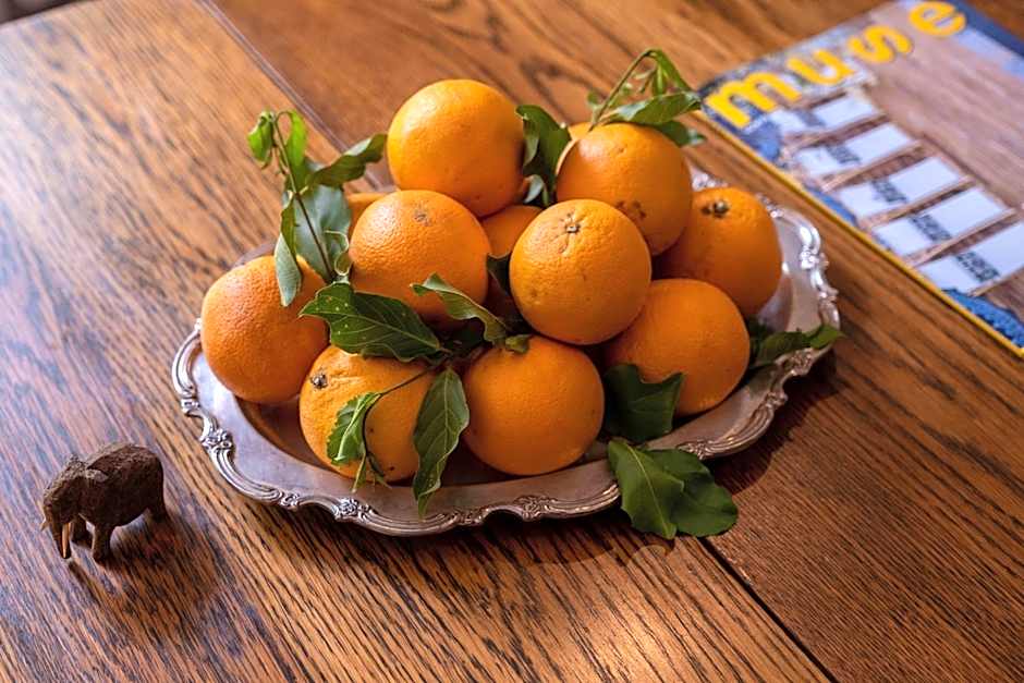 Safari Moon Luxury Bush Lodge